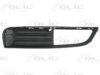 BLIC 6502-07-5079916P Ventilation Grille, bumper